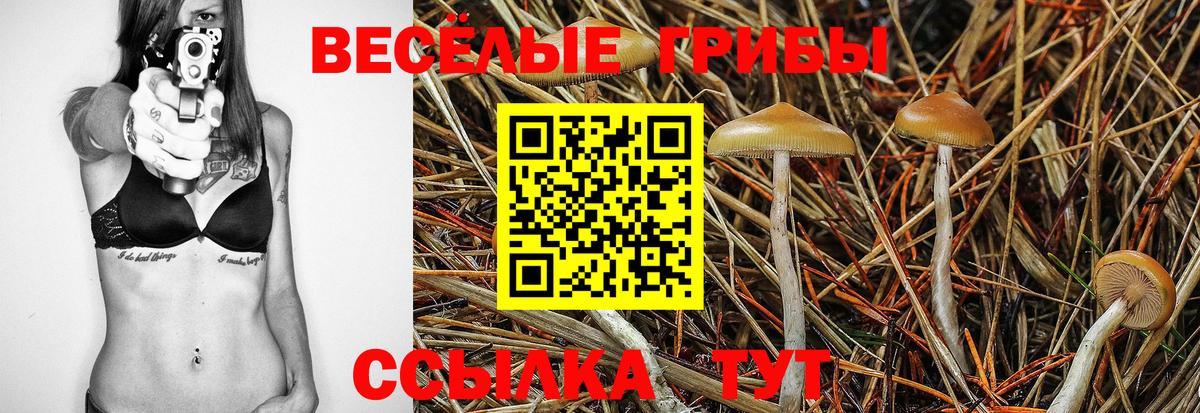 Псилоцибиновые грибы Cubensis Сердобск